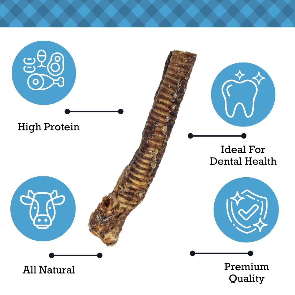 Country Living All-Natural Beef Trachea Dog Treats, Protein-Packed Chews – 12 Inches (5-Pack)